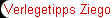 Verlegetipps Ziegonal